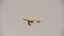 Natural Stone Limestone Egyptian Sand Textured Finish Circular Coffee Table Front 