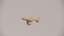 Natural Stone Premium Silver Travertine Dense Holes Textured Finish Circular Coffee Table Front 