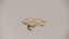 Natural Stone Premium Silver Travertine Dense Holes Textured Finish Circular Coffee Table Top Side  