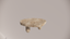 Natural Stone Premium Silver-Brown Travertine Brown-Grey Textured Finish Organic Coffee Table Front