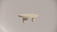 Natural Stone Marble Blue-Grey Textured Finish Organic Coffee table Front